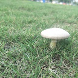 都逗逗迪迪