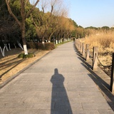 不是今天的今天