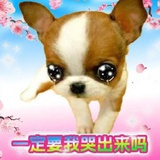 水泥封心