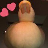 想变美女的猪