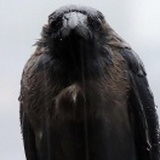 Dark shadow
