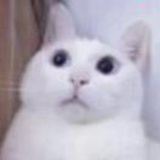 常用药