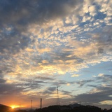 豆友185319806