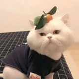 小河