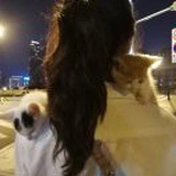 雅称幽人趣