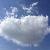 墨鱼