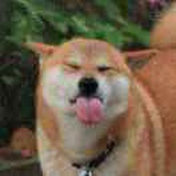 ccjiang