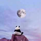 板鸭丸子酱