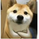 1254088