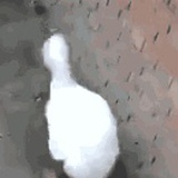 天知道
