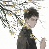 书琛