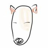社会牛