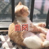 微溦微
