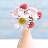 🌸多啦A梦 🌸