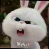 渣渣