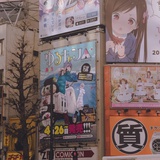霞霞子