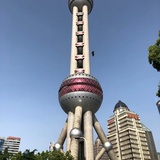菠菜根