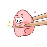 鲁米鸭