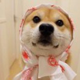 张宇