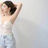 都摄苑