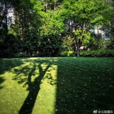 陆陆陆