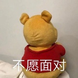 极光$