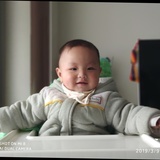 树下的星尘
