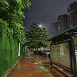 陈煜佳