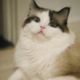 豆友185630835
