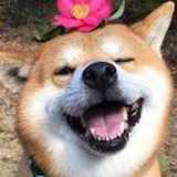 郭半仙