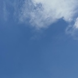 吸吸