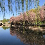 漂在帝都的游子