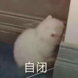 瓶盖儿呢