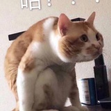 豆友185715902