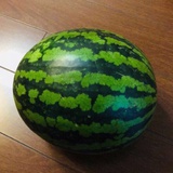 青瓜