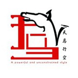 天马行空Team