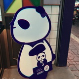 猫头鹰