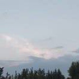 随心所欲__