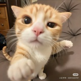 永恒。