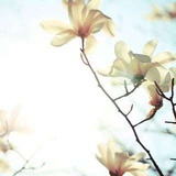 春暖花开