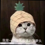 chichi_
