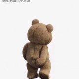 泰泰泰泰泰迪璐