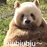 豆友185839638