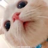 豆友185910942