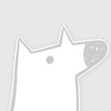 年少读书时