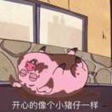 一只奋斗的小佩