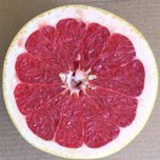 长山精品水果－