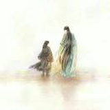 薇婷