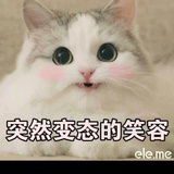 干豆皮