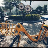 Hedwig_
